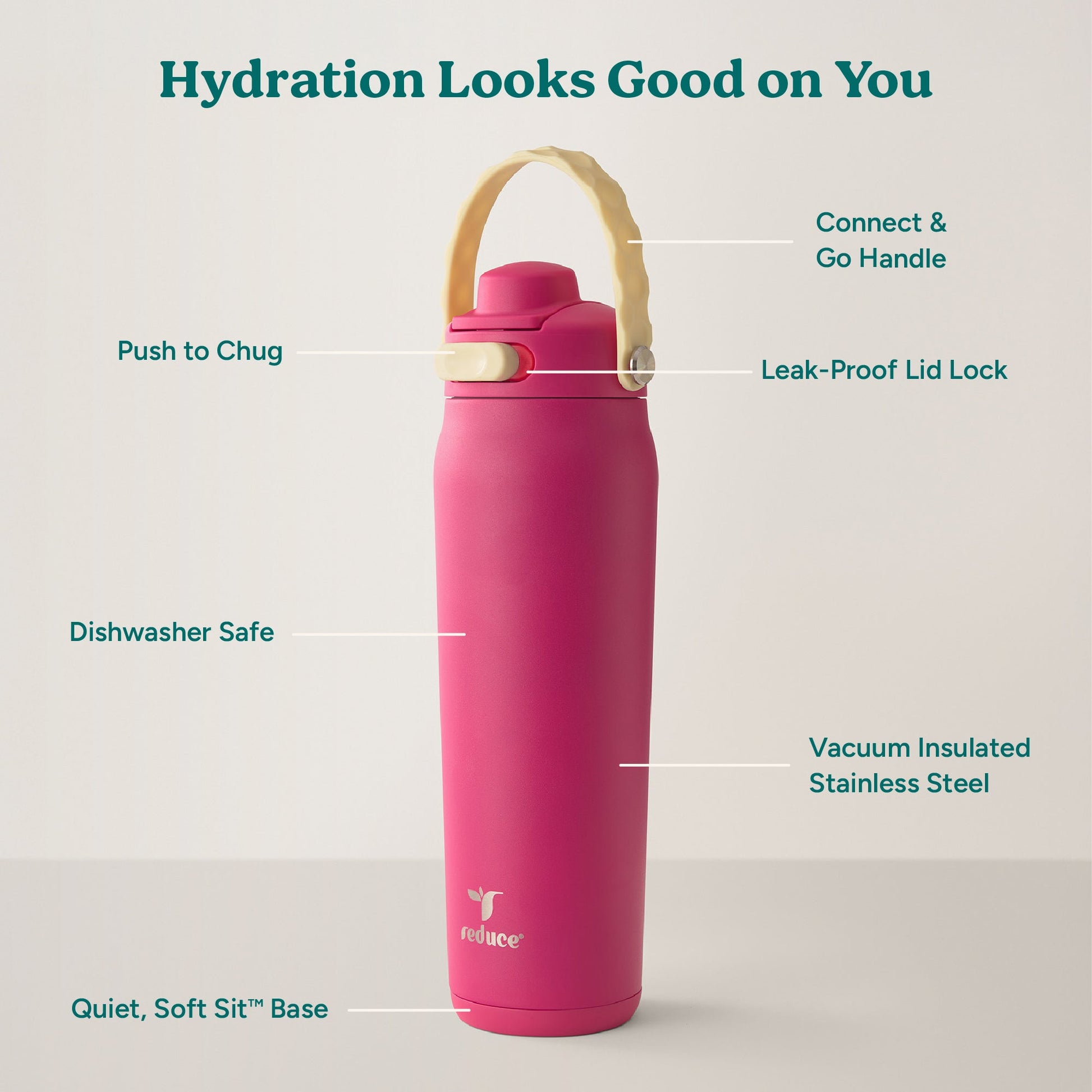 aura-26-oz-a5 Aura_26oz_DragonFruit_PDP_Infographic_2-03.jpg