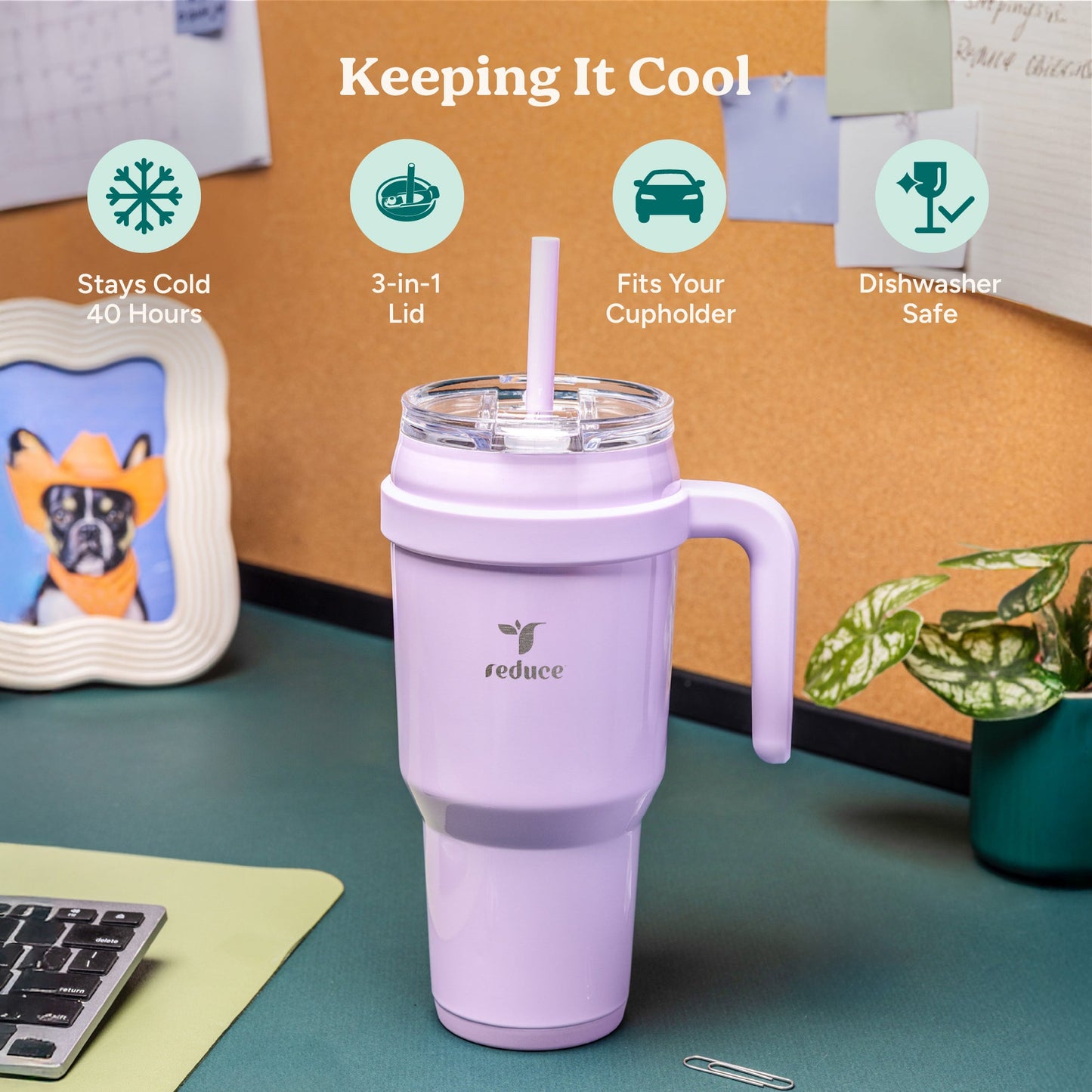 cold1-40-oz-b4 Cold1_40oz_Cotton_Infographic_1.jpg