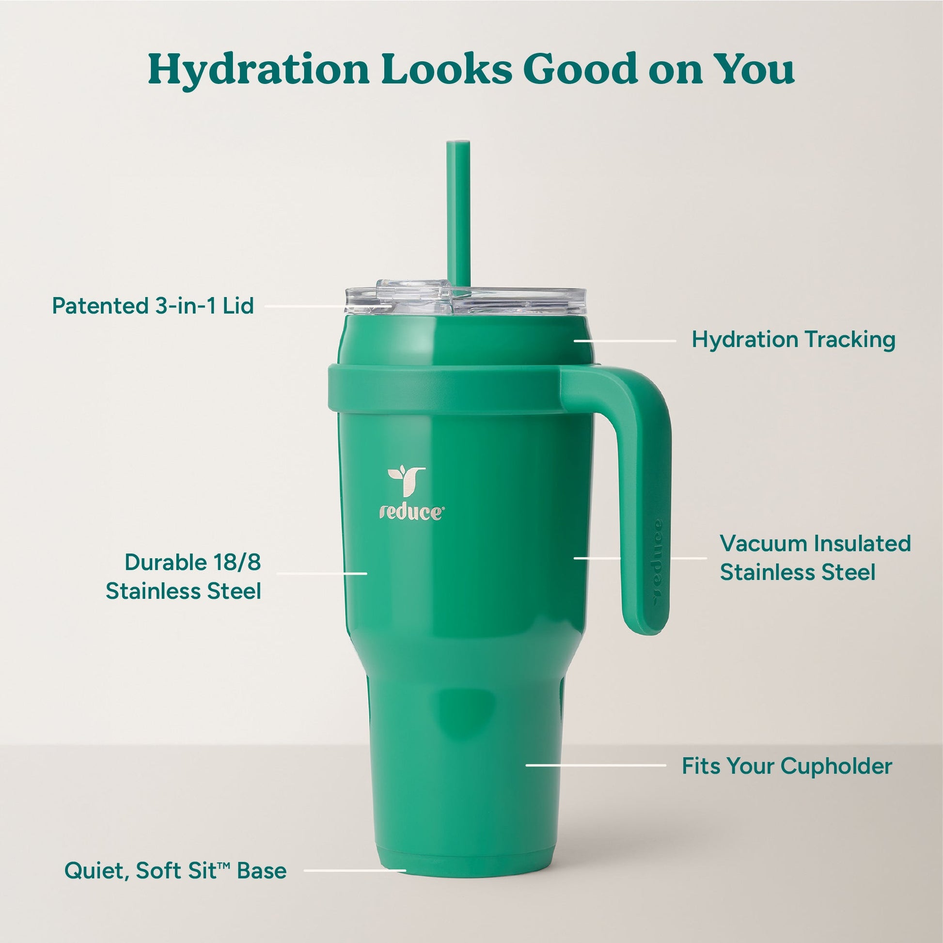 cold1-40-oz-b4 Cold1_40oz_PalmLeaf_Infographic_2.jpg