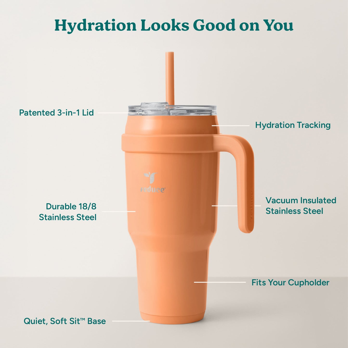 cold1-40-oz-b4 Cold1_40oz_Papaya_Infographic_2.jpg