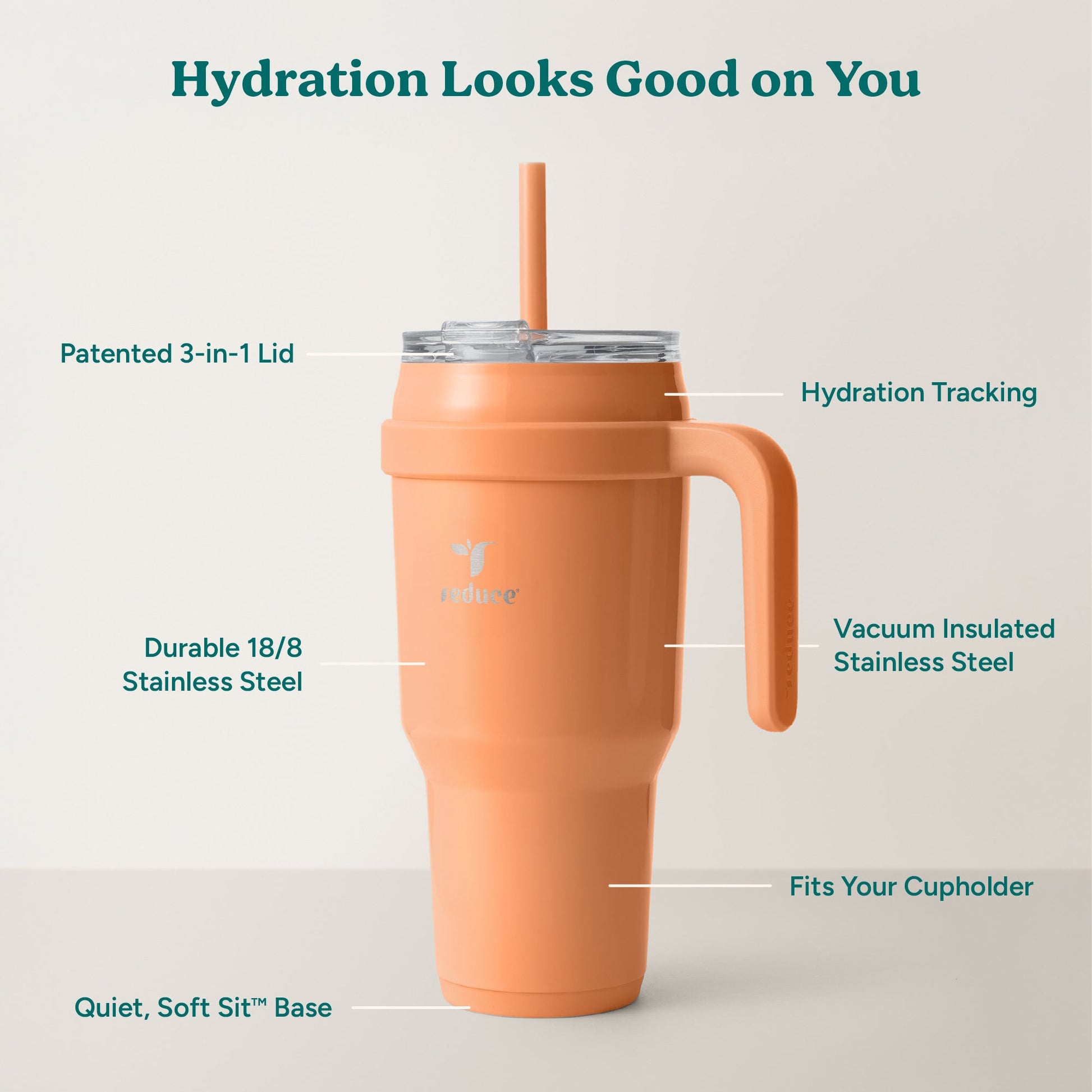 cold1-40-oz-b4 Cold1_40oz_Papaya_Infographic_2.jpg